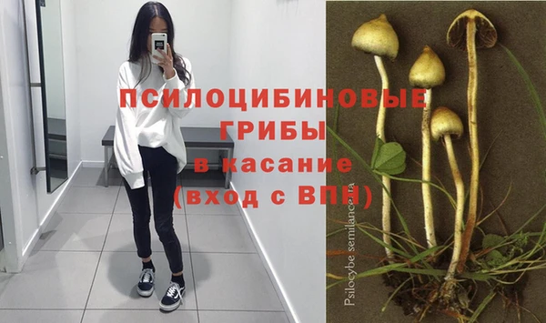 apvp Алексеевка