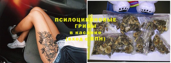 спайс Алексин