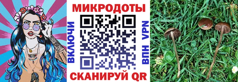 наркотики  Кудрово  Псилоцибиновые грибы ЛСД 