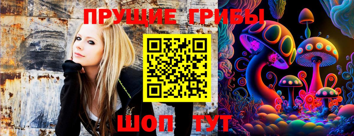 Псилоцибиновые грибы Psilocybine cubensis  Вход с VPN  Кудрово  Псилоцибиновые грибы мухоморы 