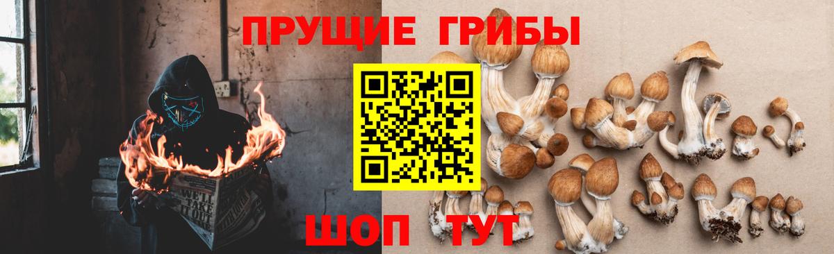 Псилоцибиновые грибы Magic Shrooms Кудрово